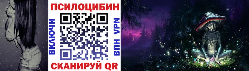 Псилоцибиновые грибы Psilocybe  Купить  Ардон 